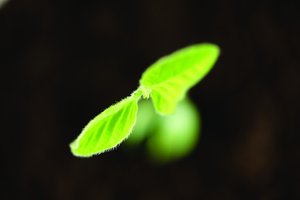 从粗放到精细：搜索排序的管理升级